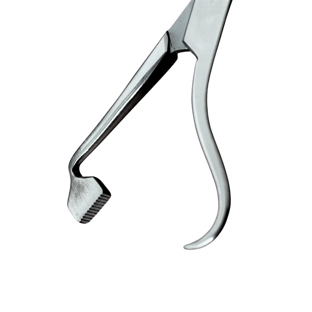 Pinza porta placas - 14cm