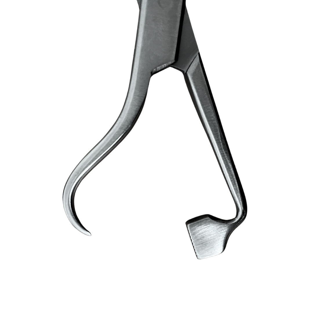 Pinza porta placas - 14cm